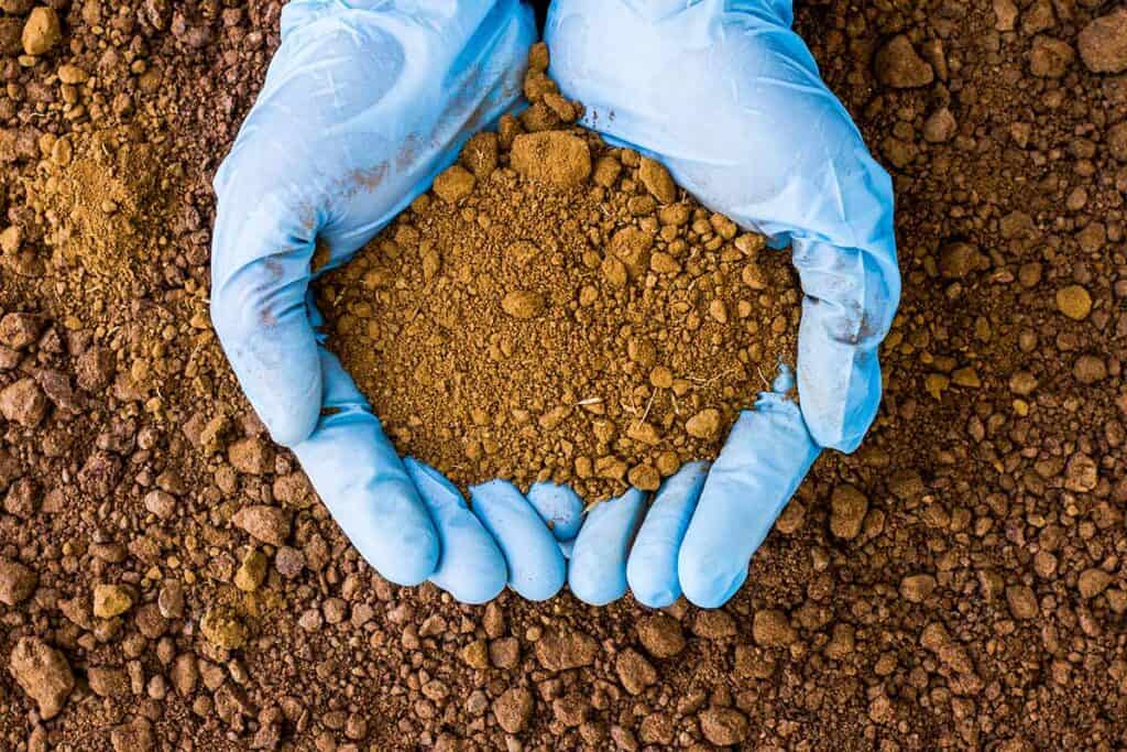 Two cupped hands holding clean soil
